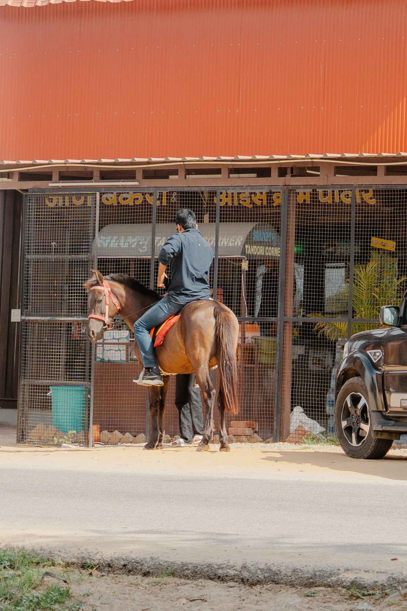 Safari guests on horses